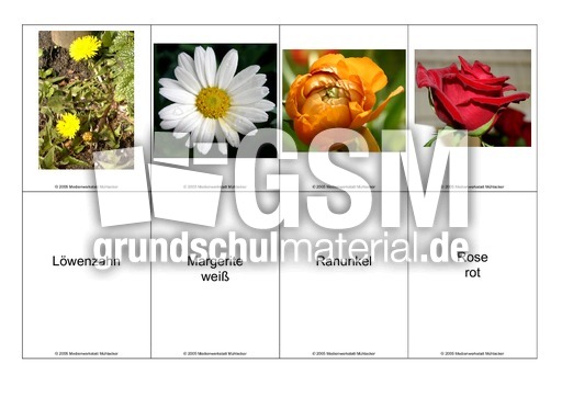 Blumen-Memo-Aufdeckspiel-7.pdf